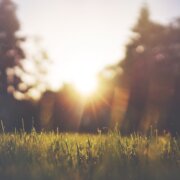 Hitte-1-©Unsplash