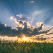 aaron-burden-BTubi6qaY6Q-unsplash