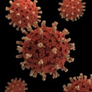 cdc-c4IBsSCuwIU-unsplash